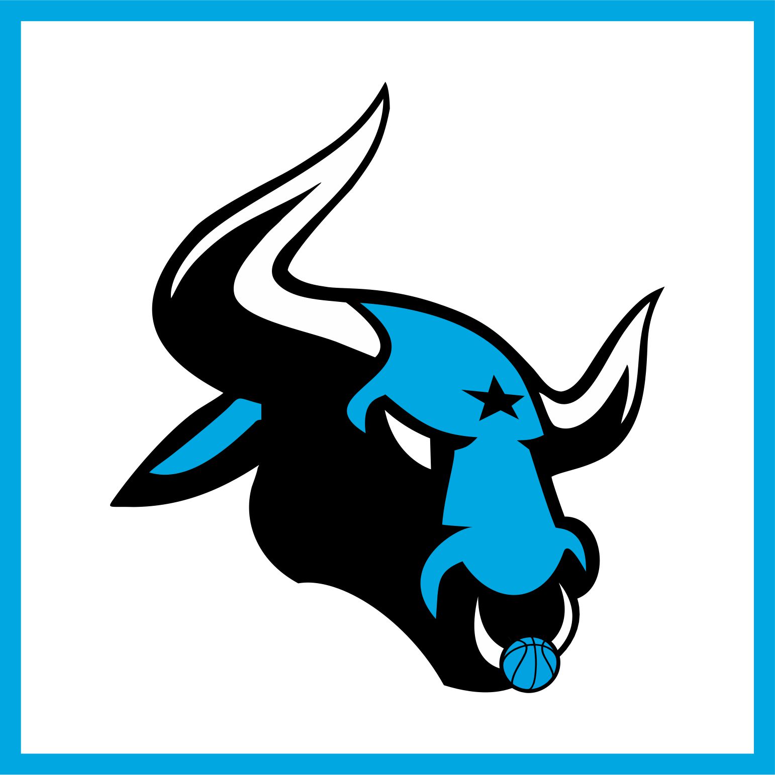 Profile Ox